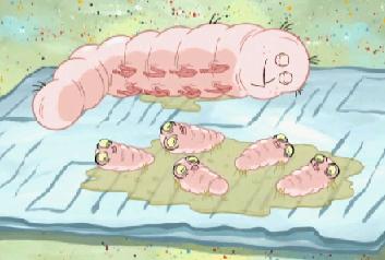 Worm