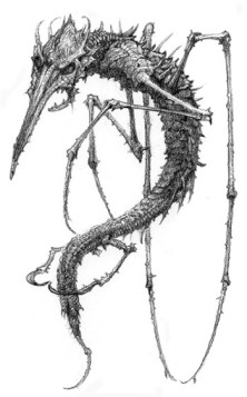 File:222px-Skelt.jpg