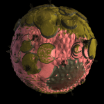 Marte (Agema).gif