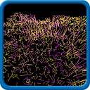 Cell Culture