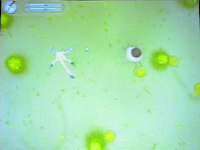 File:Bigcell.jpg