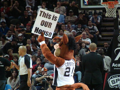 TheCoyote