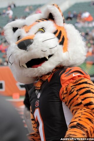 File:Who Dey.jpg