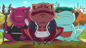 Toads