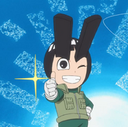 Lee's Eight Gate Eyebrows