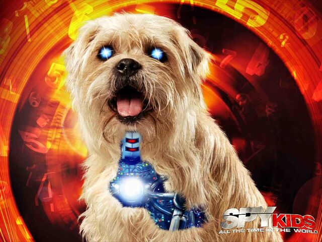 File:Sk4 dog 1024.jpg