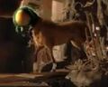 Thumbnail for version as of 18:57, January 12, 2012