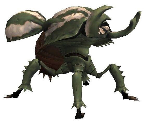 File:Beetle.jpg
