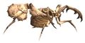 Thumbnail for version as of 04:24, November 22, 2007