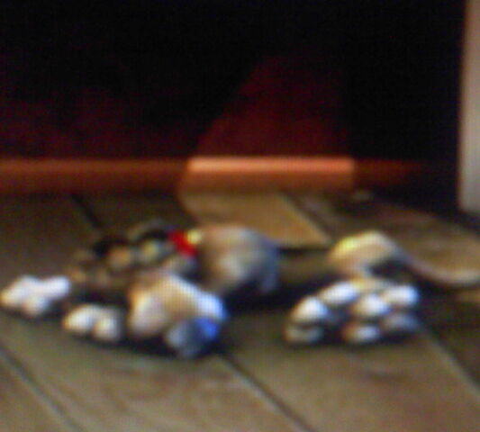 Plik:DSC0000212.jpg