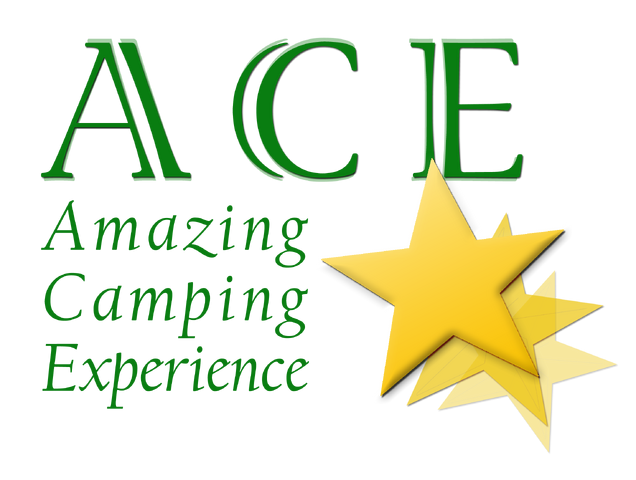 Bestand:ACE.png