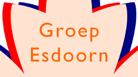 Groep Esdoorn 2