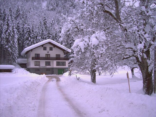 Bestand:Sneew.jpg