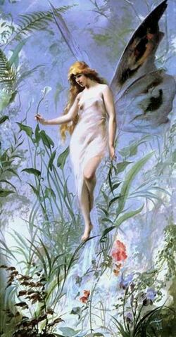 Bestand:Fairy.jpg