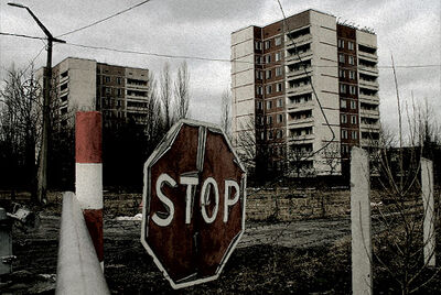 Czarnobyl-hodowla-rzepaku.jpg