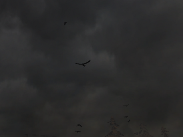 File:Crow.png