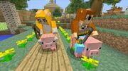 Pig Race