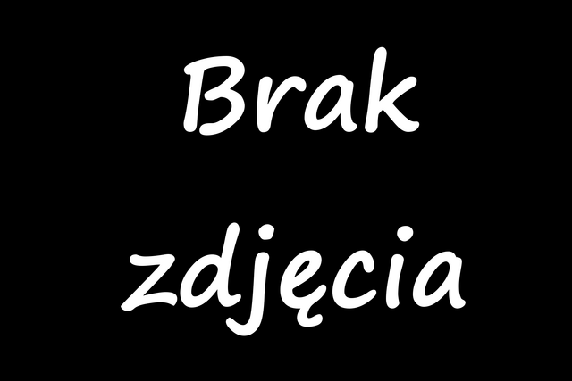 Plik:Brak zdjęcia.png