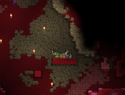 Bone block underground