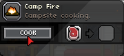 Camp fire