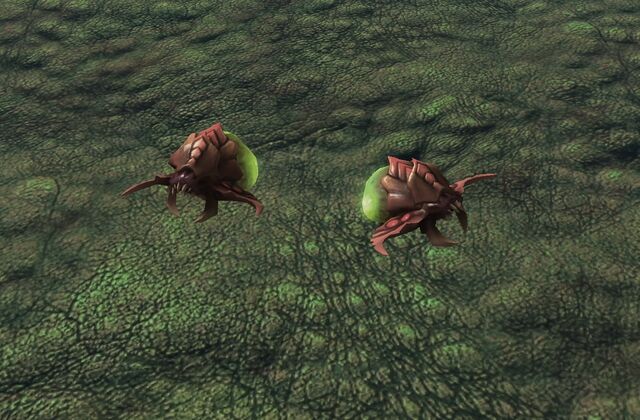 File:Scourge2.jpg
