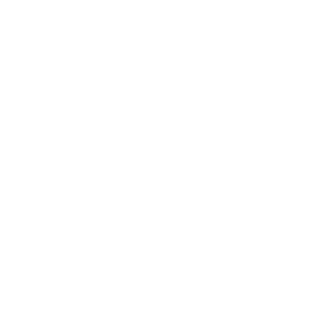 File:Developer.png
