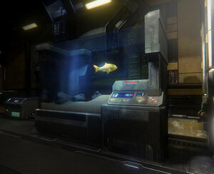 Fishtank Gold