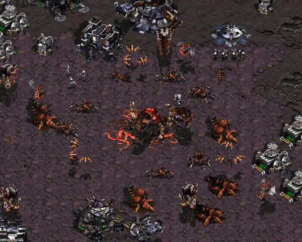 File:Overmind2 SC1 Game2.jpg