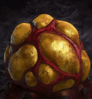 Egg SCR HeadAnim