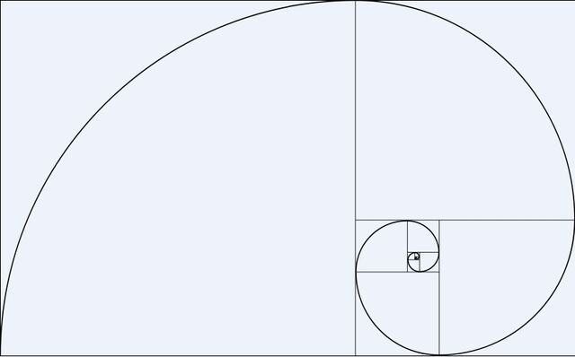 File:Fibonacci Spiral Real1.jpg