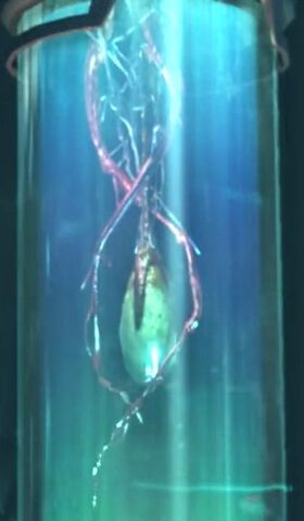 File:ZergResearch2139 SC2-WoL Story1.jpg
