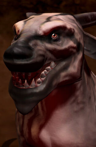 File:Lyote SC2 Head1.jpg