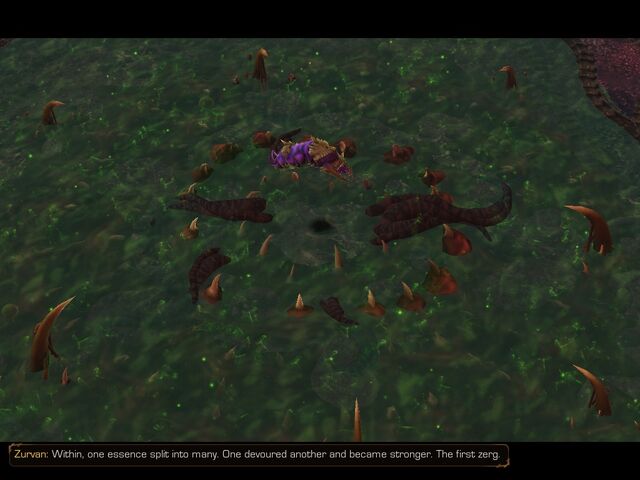 File:FirstSpawningPool SC2 Game1.jpg