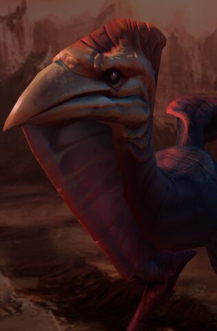 File:Karak SC2 Head1.jpg