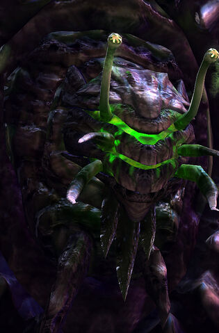 File:Spotter LotV Head 1.jpg