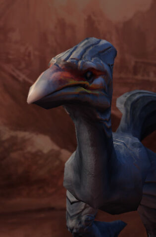 File:Karak Female SC2 Head1.jpg