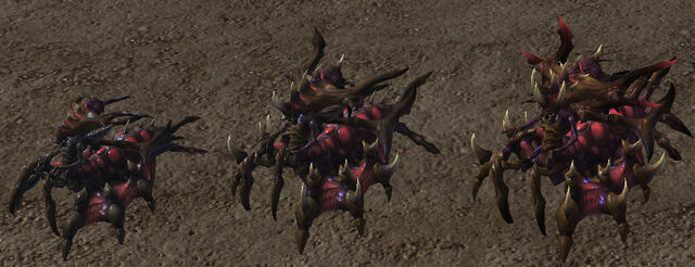 File:Niadra Evolution SC2-HotS Game1.jpg