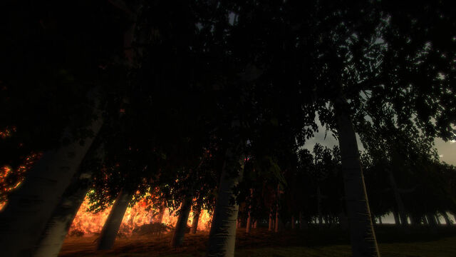 File:Pic14.jpg