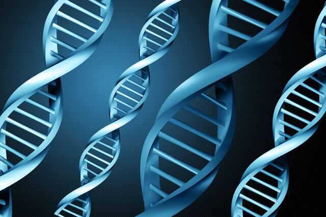 File:Dna cloning.jpg