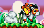 Starfy riding on Pakara