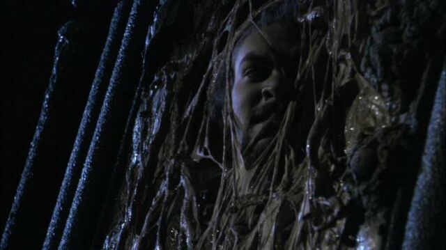 File:Ronon Dex 5.jpg