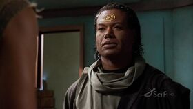 SGA-4x17-Tealc.jpg