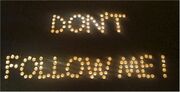 Dont Follow me