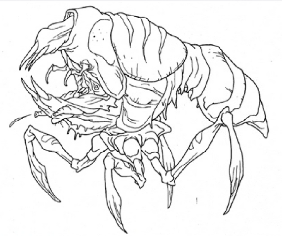 File:Blister Bug print.png
