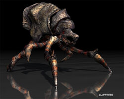 St2005-cliffmite-game-1