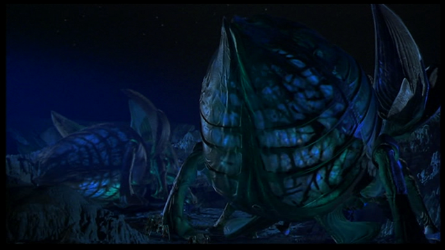 File:Vlcsnap-339615.png