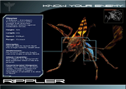 Kyerippler