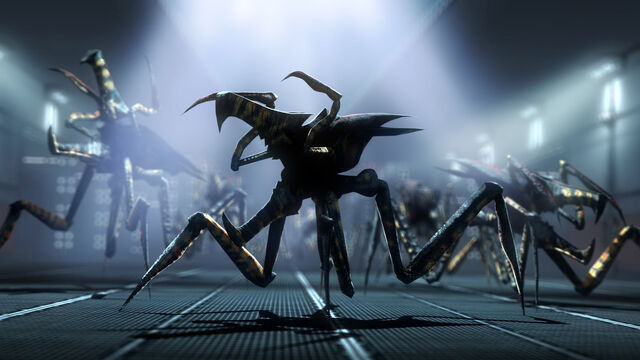 File:Arachnids by onefirewarrior.jpeg