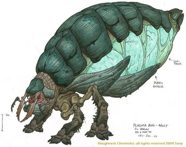 Archivo:Anatomía del Bicho Plasma 1.jpg