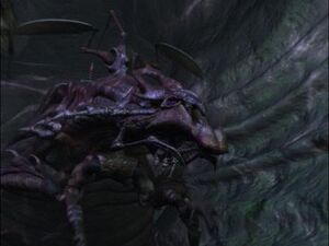 ArachnidMommaRippler